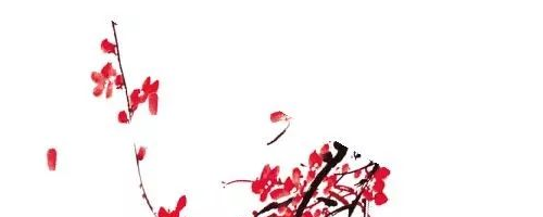 美萊塢醫(yī)美秀色可餐——面部年輕化提升的是輪廓，降低的是年齡