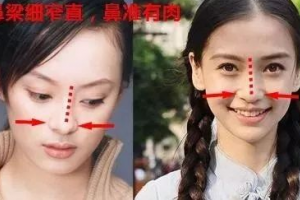 豐厚大鼻子、多肉細(xì)窄鼻子、獅子鼻、希臘鼻各是什么意思