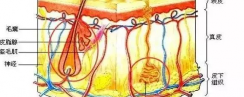 夏天來啦：激光脫毛疼不疼？要做幾次？