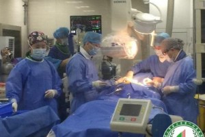 重慶西南醫(yī)院整形科醫(yī)生有哪些？實(shí)力醫(yī)生介紹