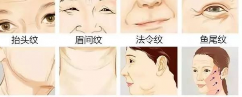 為什么有人看上去永遠像18歲？