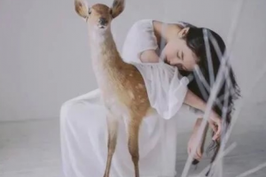 遼陽市中心醫(yī)院燒傷整形軟傷感染外科整形價格表(價目表)一覽及醫(yī)院介紹