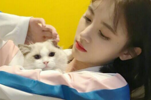 北京市第六醫(yī)院整形價(jià)格表(價(jià)目表)2020全新發(fā)布