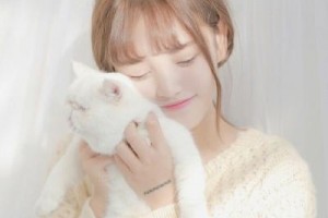 上海薇琳醫(yī)療美容醫(yī)院整形價(jià)格表(價(jià)目表)2020全新發(fā)布