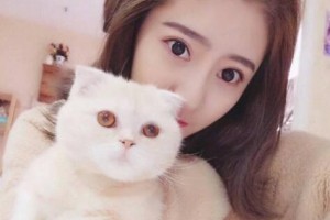 武漢美之術(shù)醫(yī)療美容門診部整形價(jià)格表(價(jià)目表)2020全新發(fā)布