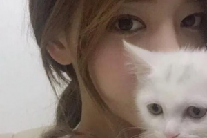 美奇醫(yī)療美容外科門(mén)診整形價(jià)格表(價(jià)目表)一覽及醫(yī)院介紹