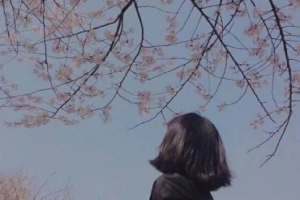 安徽合肥天鵝湖醫(yī)療整形美容醫(yī)院整形價格表(價目表)2020全新發(fā)布