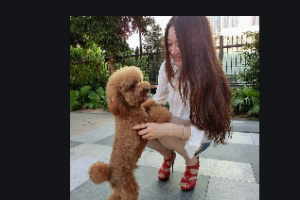 貴州都勻利美康醫(yī)療美容整形醫(yī)院整形價(jià)格表(價(jià)目表)2020全新發(fā)布