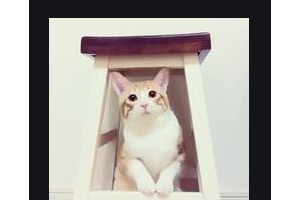 2020海南省農(nóng)墾總局醫(yī)院整形價格表(價目表)全新發(fā)布