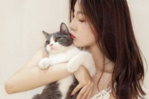 2020鄭州張洪波醫(yī)療美容診所整形價格表(價目表)全新發(fā)布