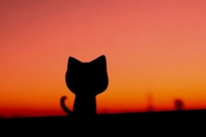 2020成都海濤醫(yī)學美容診所整形價格表(價目表)全新發(fā)布