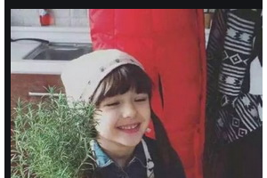 2020成都拉斐爾口腔門診部整形價(jià)格表(價(jià)目表)全新發(fā)布