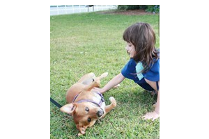 2020東莞美極醫(yī)療美容門診部整形價(jià)格表(價(jià)目表)全新發(fā)布