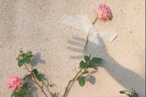 2020徐州仁濟(jì)皮膚病專(zhuān)科醫(yī)院整形價(jià)格表(價(jià)目表)全新發(fā)布