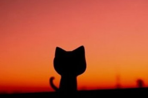 2020徐州市第三人民醫(yī)院整形美容中心整形價(jià)格表(價(jià)目表)全新發(fā)布