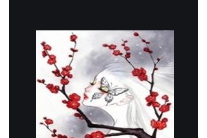 2020深圳恒生醫(yī)院整形美容中心整形價(jià)格表(價(jià)目表)全新發(fā)布