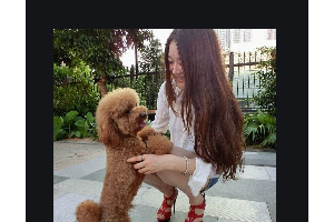 2020武漢美鄴醫(yī)療美容醫(yī)院整形價(jià)格表(價(jià)目表)全新發(fā)布