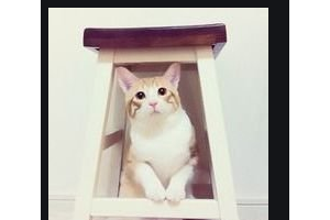 2020武漢匠歆天巧醫(yī)療美容門診部整形價格表(價目表)全新發(fā)布