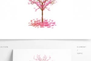 2020大同和平燒傷骨科醫(yī)院整形美容科整形價(jià)格表(價(jià)目表)全新發(fā)布