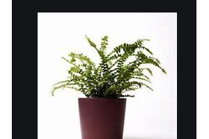 2020深圳?，斄猪槼毖劭漆t(yī)院整形價(jià)格表(價(jià)目表)全新發(fā)布