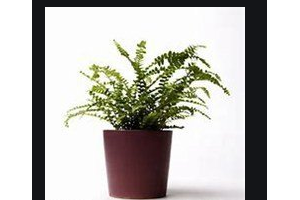 2020西昌牙博士口腔門診部整形價(jià)格表(價(jià)目表)全新發(fā)布