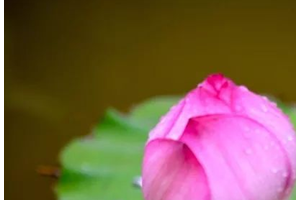 男人為何喜歡豐臀的女人？