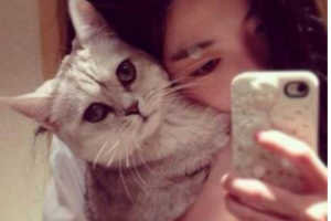 長春中妍醫(yī)療美容醫(yī)院趙勝友整形價格表附熱瑪吉案例展示