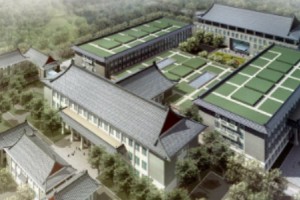 北京八大處熱瑪吉多少錢附手術(shù)恢復前后分享