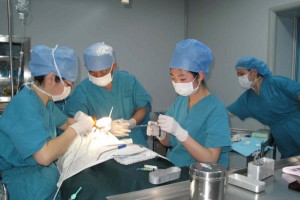 青醫(yī)附院整形美容科環(huán)境好不好下頜角手術(shù)果太好了|醫(yī)生推薦