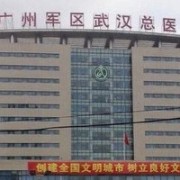 中國人民解放軍中部戰(zhàn)區(qū)總醫(yī)院皮膚整形美容科